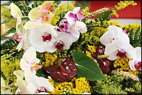 www.floristic.ru - .  