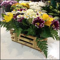 www.floristic.ru - .     