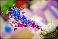 www.floristic.ru - Флористика. Помогите!!!!!