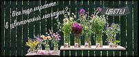 www.floristic.ru - .    (, - )