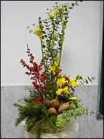 www.floristic.ru - .  