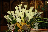 www.floristic.ru - .   ,    