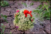 www.floristic.ru - .  