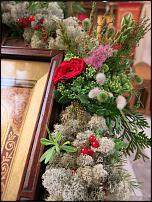 www.floristic.ru - .   ,    