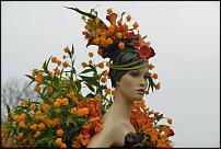 www.floristic.ru - Флористика. Сандерсония-Sandersonia