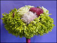 www.floristic.ru - .   