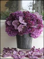 www.floristic.ru - .  "" (, )