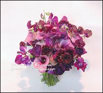 www.floristic.ru - .  .