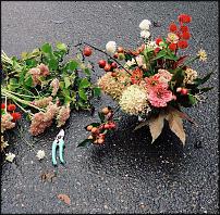 www.floristic.ru - .  "" (, )