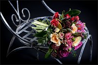 www.floristic.ru - .  .