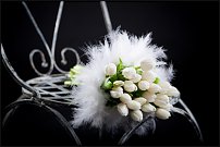 www.floristic.ru - .  .