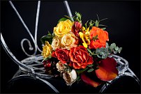 www.floristic.ru - .  .