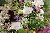 www.floristic.ru - .   .