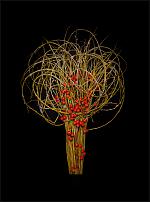 www.floristic.ru - .   