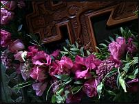 www.floristic.ru - .   .
