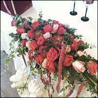 www.floristic.ru - .  .