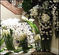 www.floristic.ru - .  "" (, )