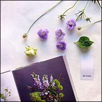 www.floristic.ru - .  "" (, )