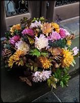 www.floristic.ru - .  "" (, )