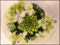 www.floristic.ru - .    !!!