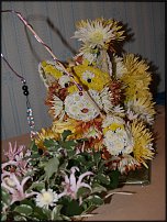 www.floristic.ru - .   ....