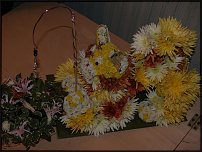 www.floristic.ru - .   ....