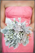 www.floristic.ru - .  "" (, )