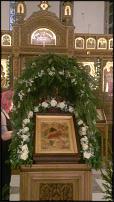 www.floristic.ru - .  