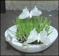 www.floristic.ru - Флористика. Как вырастить траву для композиций в домашних усливиях?