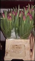 www.floristic.ru - .      