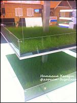 www.floristic.ru - Флористика. Как вырастить траву для композиций в домашних усливиях?