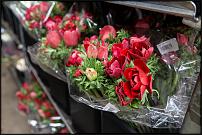 www.floristic.ru - Флористика. Компания «Цветы от Мачелюка» – это цветочный Cash & Carry в самом центре Москвы.