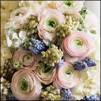 www.floristic.ru - .  "" (, )