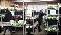 www.floristic.ru - .        Cash & Carry    .