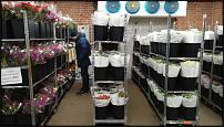 www.floristic.ru - .        Cash & Carry    .