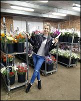 www.floristic.ru - .        Cash & Carry    .