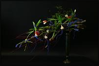 www.floristic.ru - .   ""