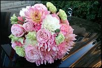 www.floristic.ru - .  .