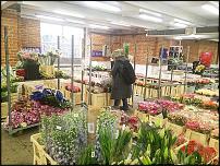 www.floristic.ru - .        Cash & Carry    .