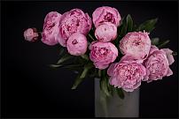 www.floristic.ru - .        Cash & Carry    .