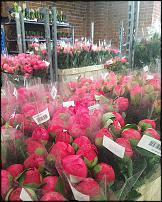 www.floristic.ru - .        Cash & Carry    .