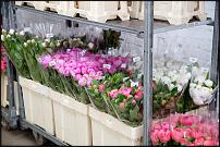 www.floristic.ru - .        Cash & Carry    .