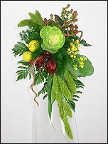 www.floristic.ru - .   .