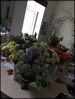 www.floristic.ru - .  "" (, )