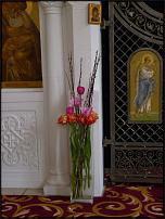 www.floristic.ru - .     