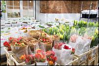 www.floristic.ru - .        Cash & Carry    .