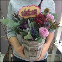 www.floristic.ru - .         .