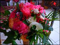 www.floristic.ru - .   ,    