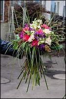 www.floristic.ru - .   ""