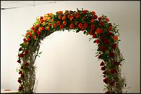 www.floristic.ru - .   ""